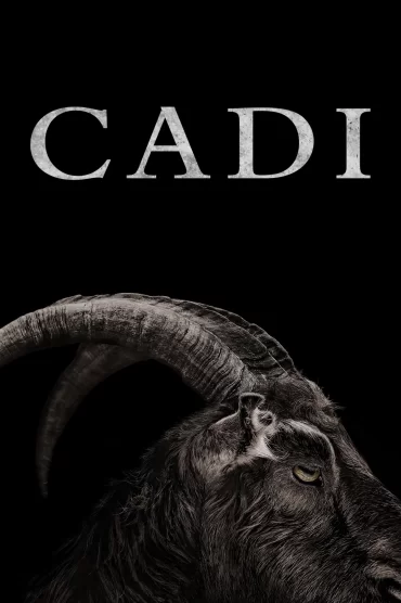 Cadı